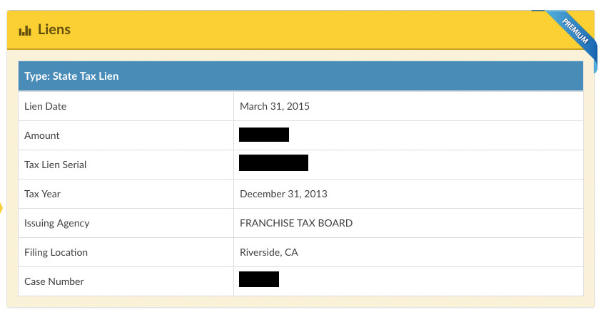Instant Checkmate financial records section showing tax lien